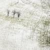 A snowfall (01)